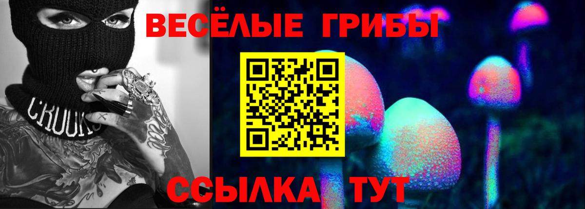 Красноярск  Псилоцибиновые грибы мухоморы  купить наркотики цена  Вход с VPN 