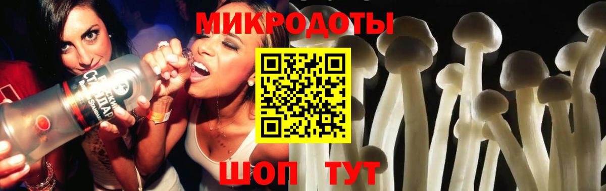 Галлюциногенные грибы GOLDEN TEACHER Красноярск